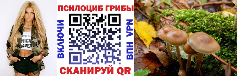 Галлюциногенные грибы Magic Shrooms  Бакал 
